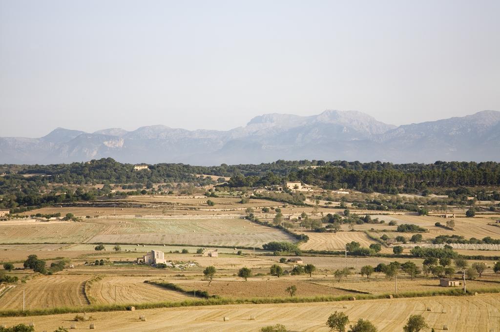 Sa Rota D' En Palerm Agroturismo