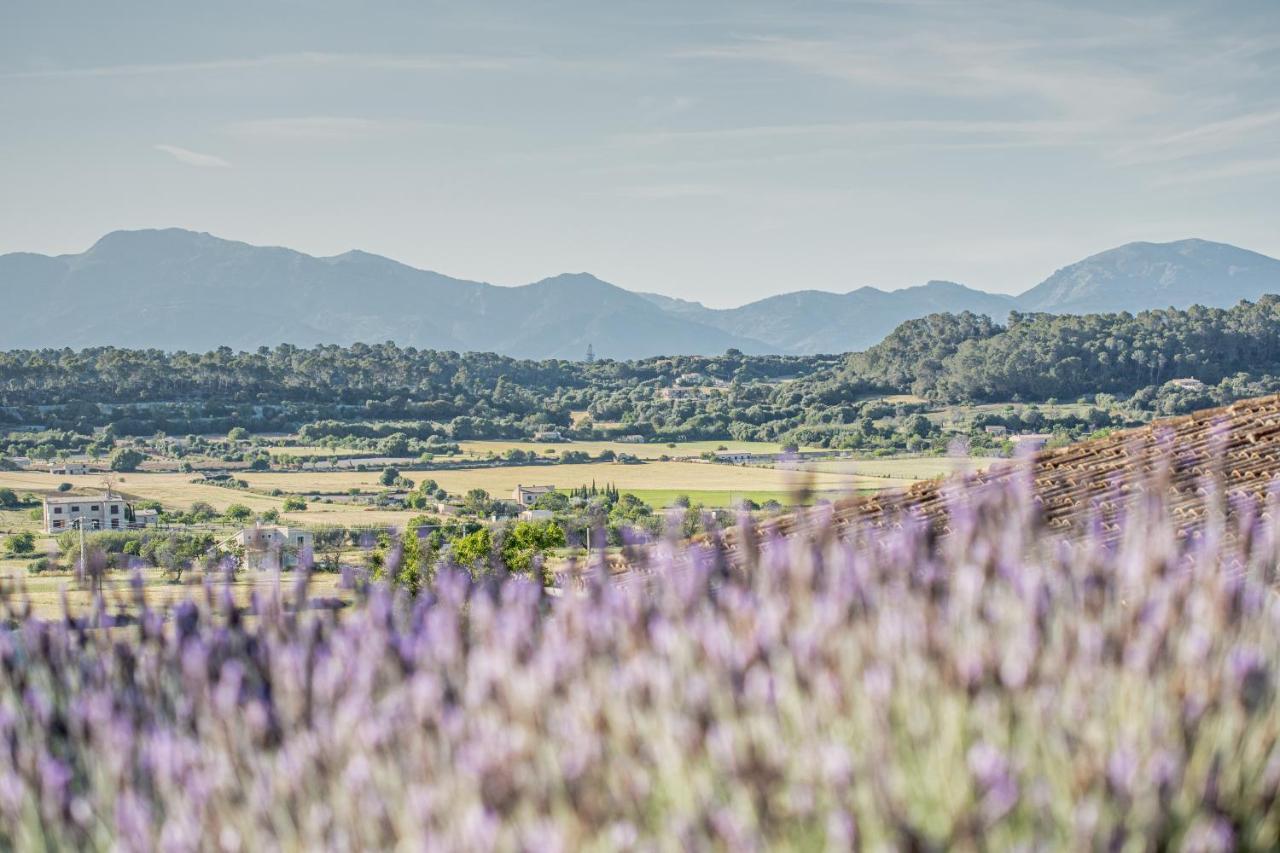 Sa Rota D' En Palerm Agroturismo *